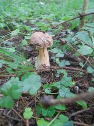 20250806_060427.jpg