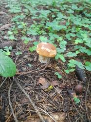 20250806_080718.jpg