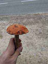 20250809_084127.jpg