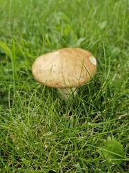 20250809_113053.thumb.jpg.733749044c27e979a886c08a2fe929df.jpg