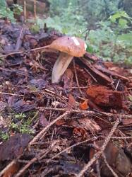 20250810_050308.jpg