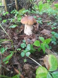 20250810_051644.jpg