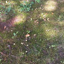 20250810_105209.jpg