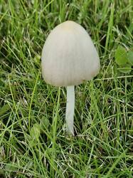 20250811_083603.thumb.jpg.407f459f3b1a120cd0e11b01ddff6ff4.jpg