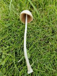 20250811_085742.thumb.jpg.c89d7e3afc85f078aec406384549249b.jpg