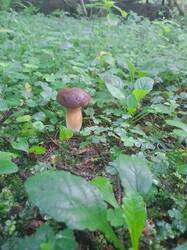 20250813_054113.jpg