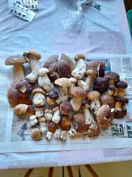20250813_101640.jpg