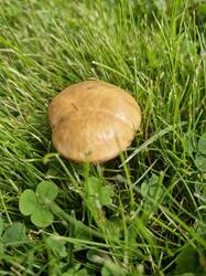 20250813_111256.thumb.jpg.b5273a866d55ac5ad4570748b028187b.jpg