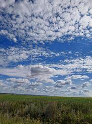 20250814_100412.thumb.jpg.e94a77b322d484fa12767ee43d313fbe.jpg