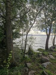 20250814_183354.thumb.jpg.bf8fafc1d96b685b47f16bf54936d1f9.jpg