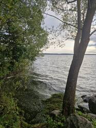 20250814_183413.thumb.jpg.90e78519687a02e03dfcc90a3c9b428c.jpg