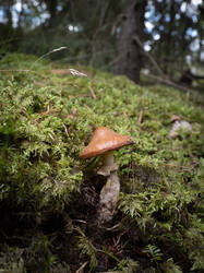 20250816-M3JR3351-Enhanced-NR.thumb.jpg.f6b42b99c1aece9e67a2f2dbfaadb07b.jpg