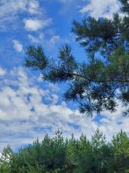 20250816_151321.thumb.jpg.2da7710ec95c286cb4a99fbdf38318e5.jpg