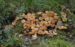 20250818-M3JR3576.thumb.jpg.c5917da09c595a48a5cf72ee79954829.jpg