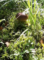 20250818_092605.jpg