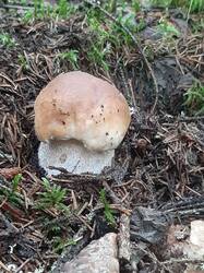 20250820_101016.jpg