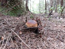 20250821_135410.thumb.jpg.f7a4f0bbf5617998196683d63f64005d.jpg