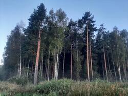 20250822_052002.jpg