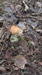 20250823_093406.thumb.jpg.953e7edf87456c19fc02f79e1647cbb3.jpg