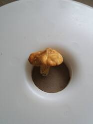 20250825_182343.jpg