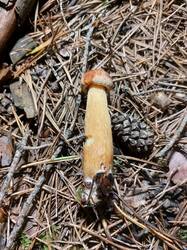20250826_045643.thumb.jpg.bd8b70a4452b78cb4a0478ce52a5ee01.jpg