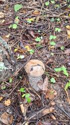 20250829_101324.thumb.jpg.7fbe262c17252b054269d799ba1b2625.jpg