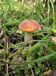 20250830_101401(1).thumb.jpg.31a1b9ce4e2a55506c0d7a9b0e02fb21.jpg