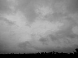 262830500_(11).thumb.JPG.357530f2b54f372e2fc333b4cc5acc54.JPG