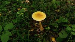 332728809_08-25-21-(1).thumb.jpg.980b80c7d7999bab02cceac24e64862c.jpg