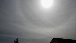 368477800_1(8).thumb.jpg.b9d1271450a41c19f5cb8181f194b274.jpg