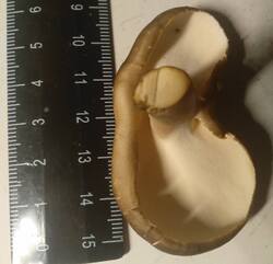 44.thumb.jpg.eb606b7e7ee6ebe0d592637ac9756445.jpg