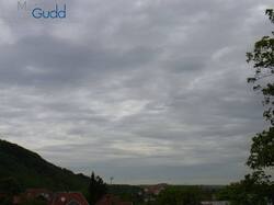 48905305_(8).thumb.jpg.d99d7d7da244a9bebef81ecbf7fbc6e0.jpg