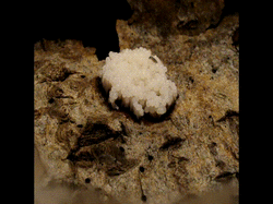 P8177312 (1).gif