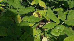 708189965_08-25-08-(2).thumb.jpg.7dc01934ab7a0fefed73dbfbfa2a431e.jpg
