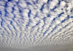 711348718_(7).thumb.jpg.59404b02b3a40d22d69b6aba28f520df.jpg