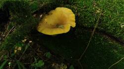 866907757_08-25-15-(1).thumb.jpg.cb12f4935097afcaca8aa18fa2970d7e.jpg