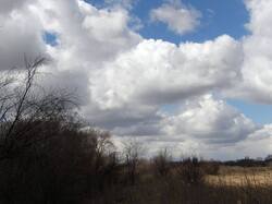 949233_(18).thumb.JPG.08e609470d88cb10eb96d237b8be4e52.JPG