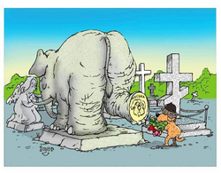 scale_1200 (29).png