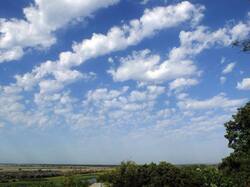 DSCF1088.thumb.JPG.61d792d004be169b75ce699df9598e44.JPG