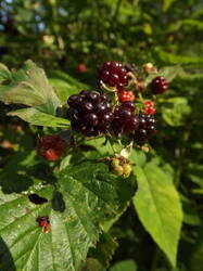DSCF5969.JPG