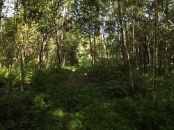 DSCF5970.JPG