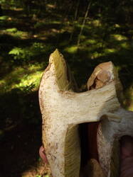 DSCF5971.JPG