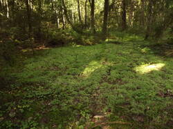 DSCF5973.JPG
