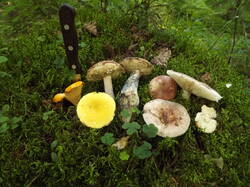 DSCF5974.JPG