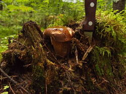 DSCF6020.JPG
