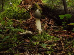 DSCF6021.JPG