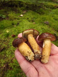 DSCF6026.JPG
