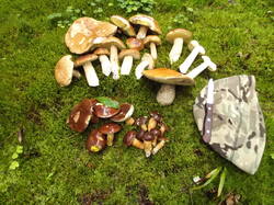 DSCF6028.JPG