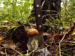 DSCF6069.JPG