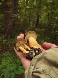 DSCF6074.JPG